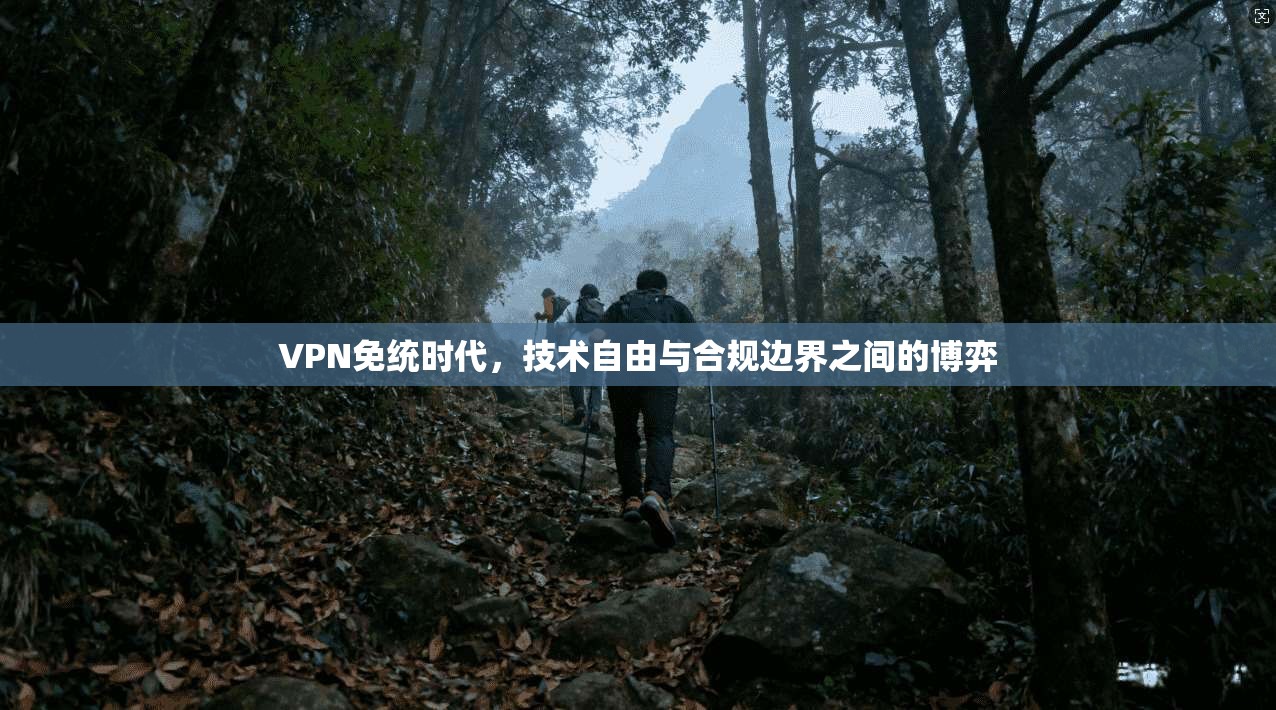VPN免统时代，技术自由与合规边界之间的博弈