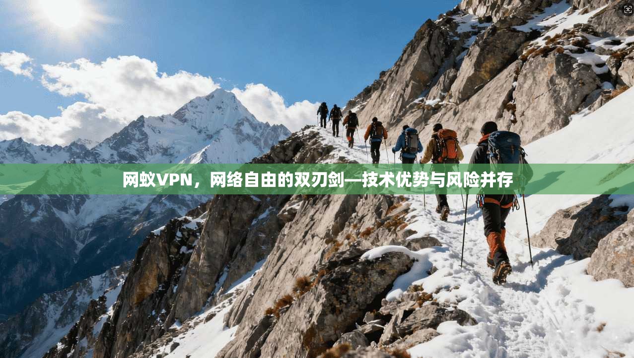 网蚁VPN，网络自由的双刃剑—技术优势与风险并存