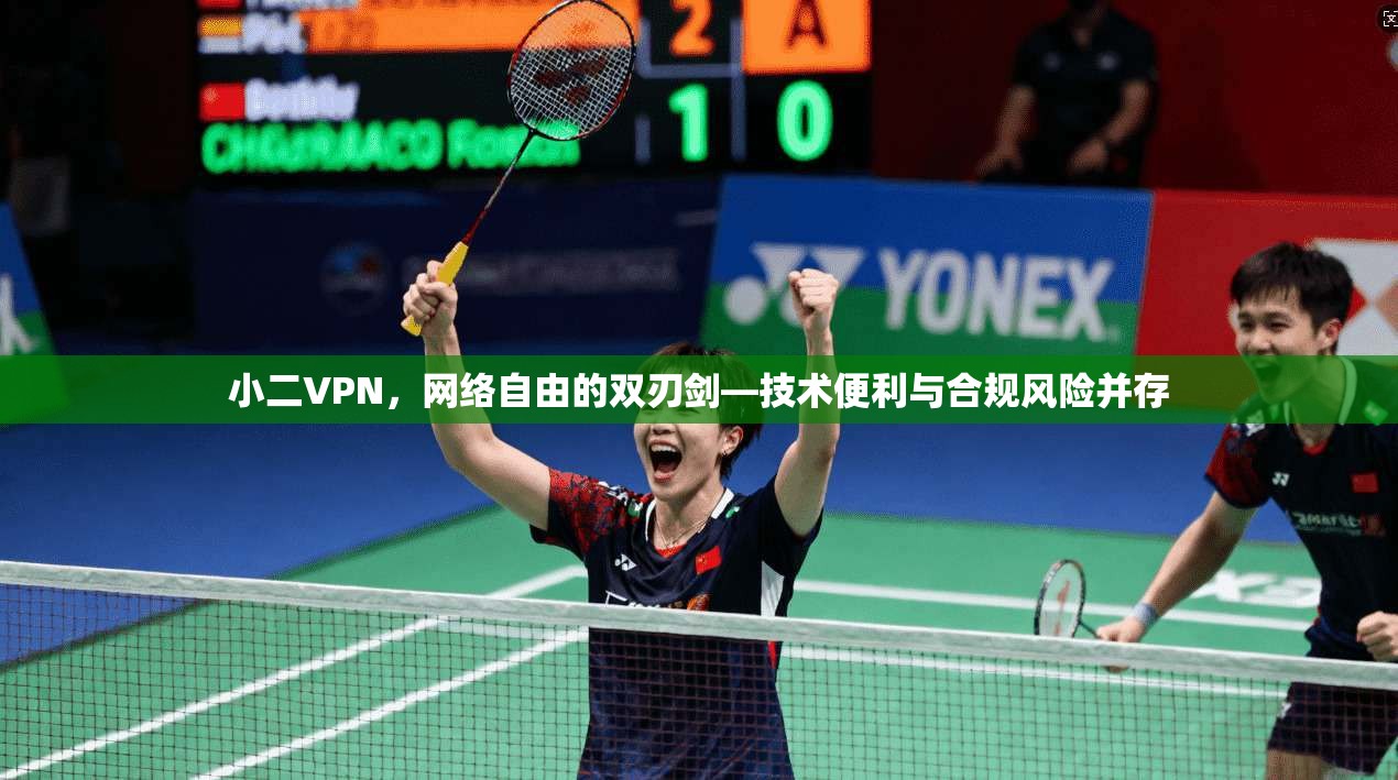 小二VPN，网络自由的双刃剑—技术便利与合规风险并存