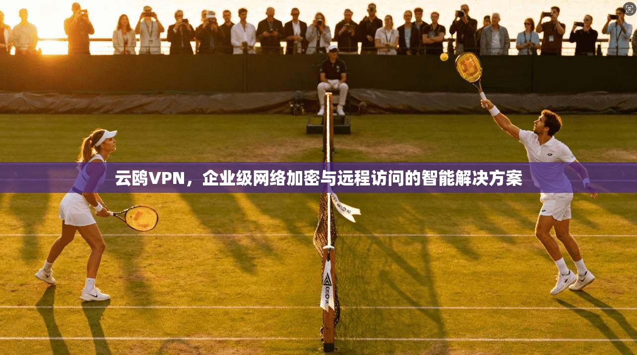 云鸥VPN，企业级网络加密与远程访问的智能解决方案
