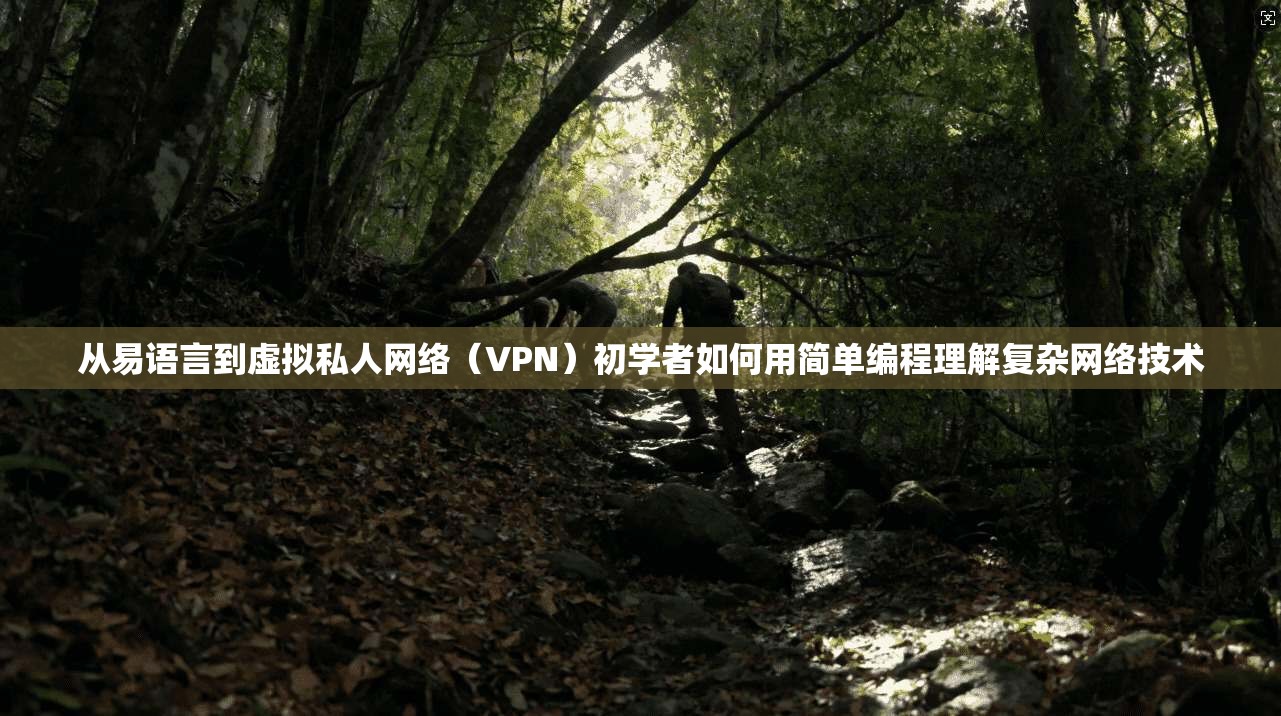 从易语言到虚拟私人网络(VPN)初学者如何用简单编程理解复杂网络技术