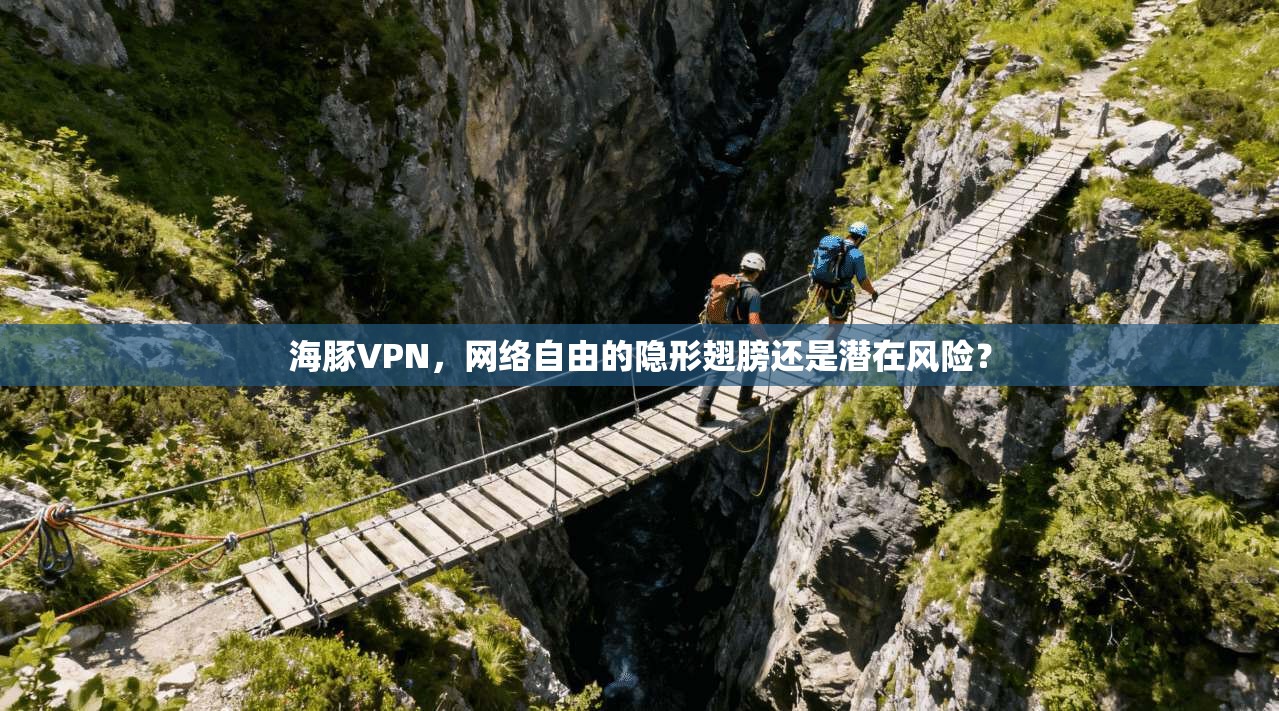 海豚VPN，网络自由的隐形翅膀还是潜在风险？