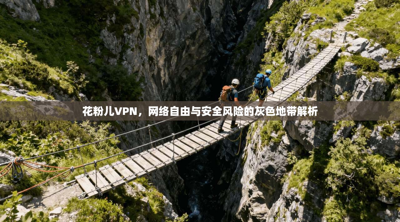 花粉儿VPN,网络自由与安全风险的灰色地带解析 花粉儿VPN,网络自由与安全风险的灰色地带解析