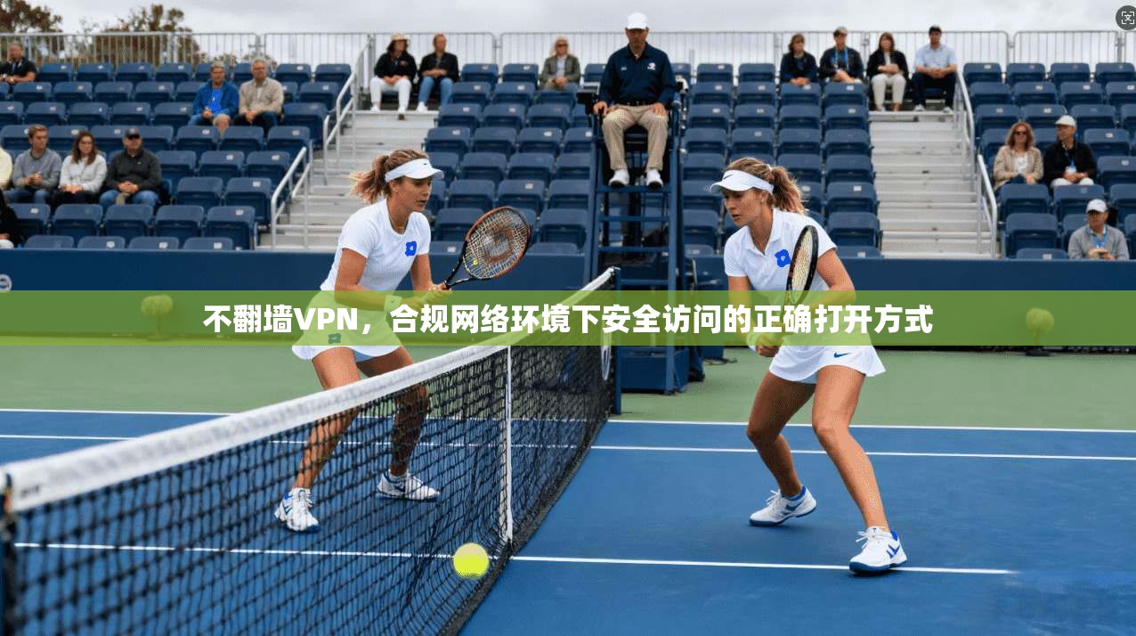 不翻墙VPN，合规网络环境下安全访问的正确打开方式