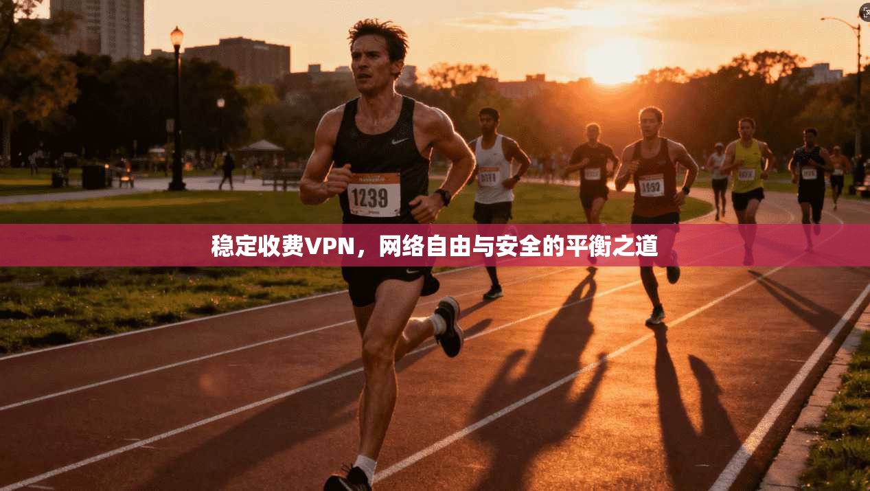 稳定收费VPN，网络自由与安全的平衡之道
