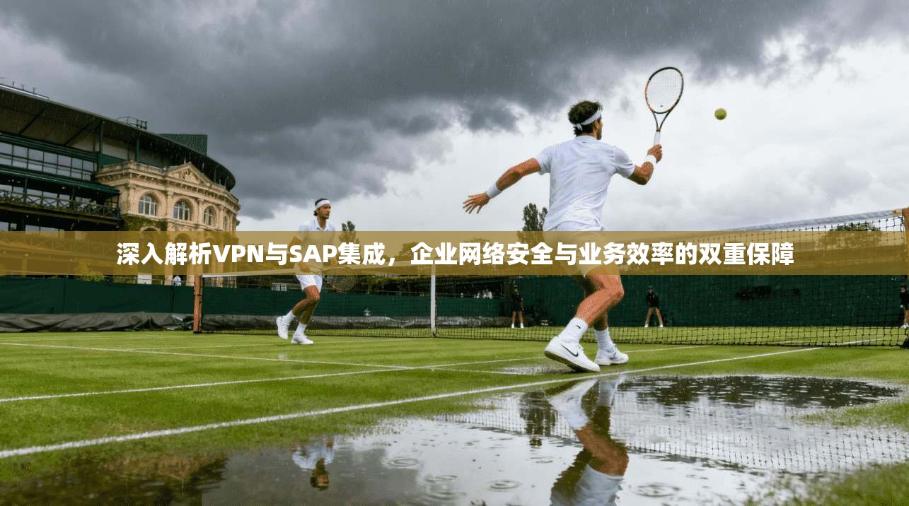 深入解析VPN与SAP集成，企业网络安全与业务效率的双重保障