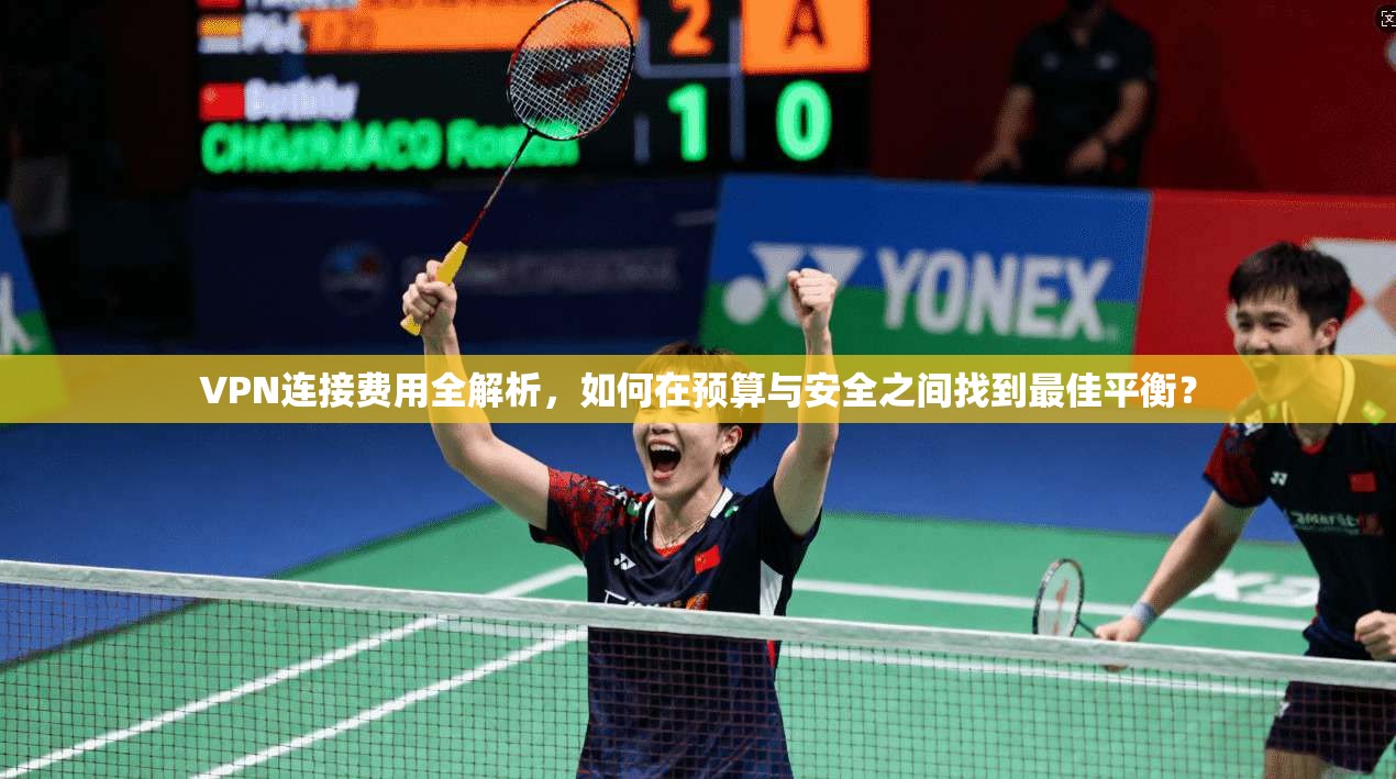 VPN连接费用全解析，如何在预算与安全之间找到最佳平衡？
