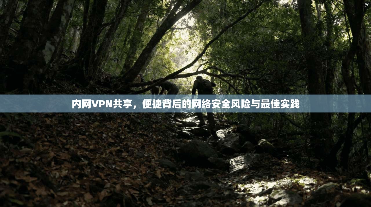 内网VPN共享,便捷背后的网络安全风险与最佳实践