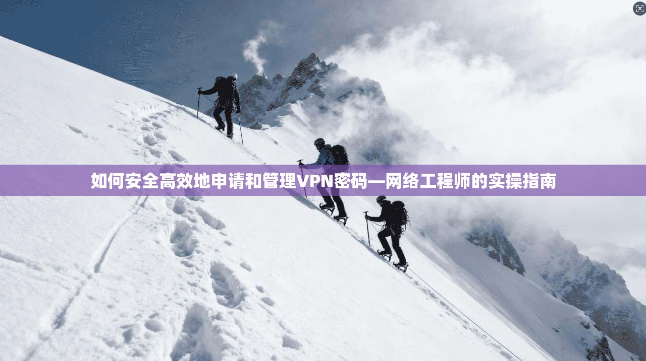 如何安全高效地申请和管理VPN密码—网络工程师的实操指南