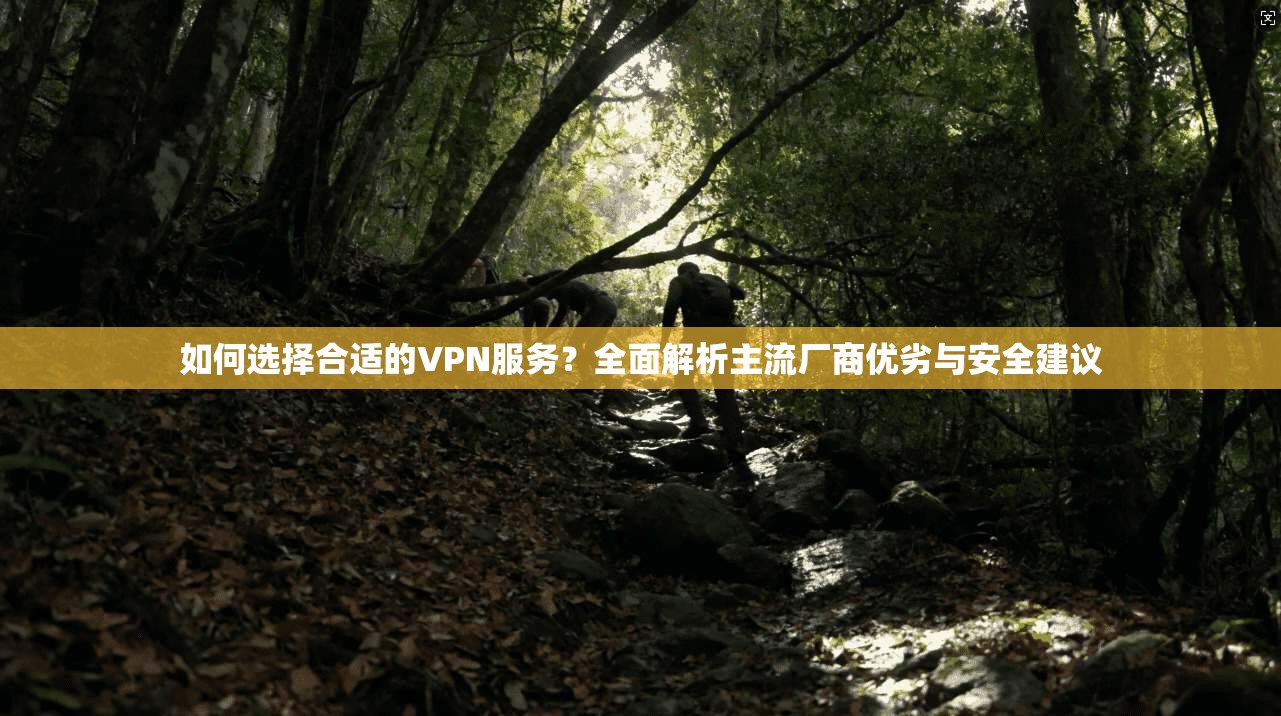 如何选择合适的VPN服务？全面解析主流厂商优劣与安全建议