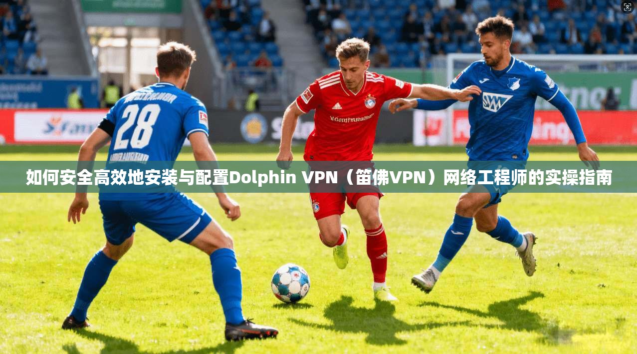 如何安全高效地安装与配置Dolphin VPN（笛佛VPN）网络工程师的实操指南