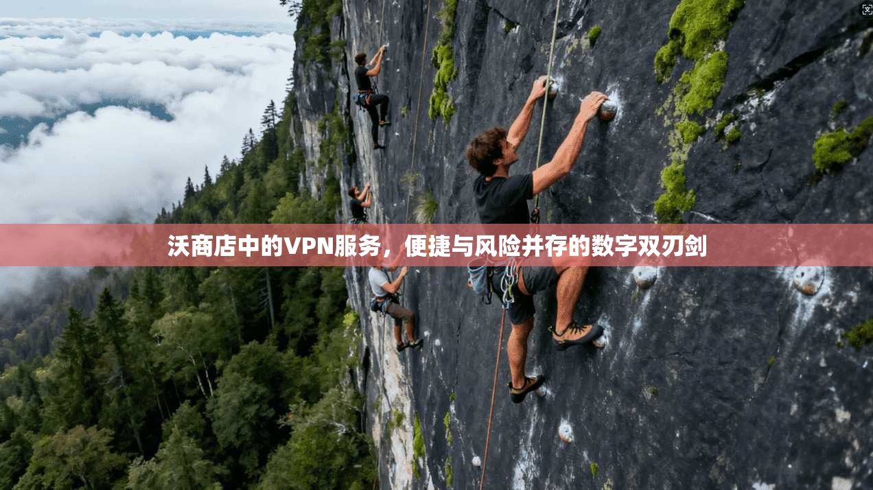 沃商店中的VPN服务，便捷与风险并存的数字双刃剑