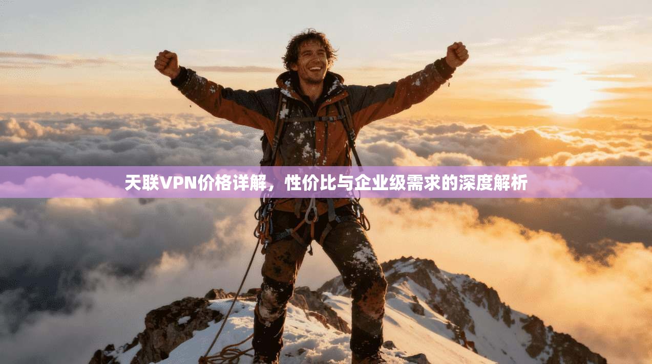 天联VPN价格详解，性价比与企业级需求的深度解析