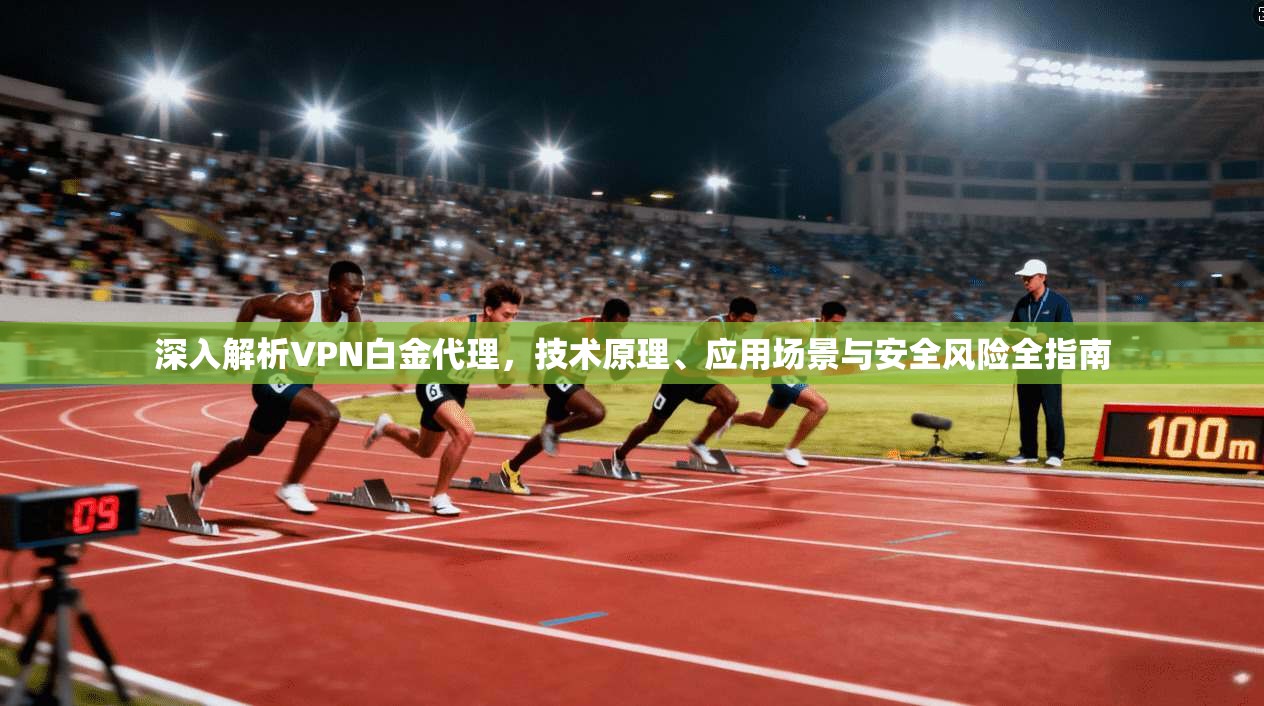 深入解析VPN白金代理，技术原理、应用场景与安全风险全指南
