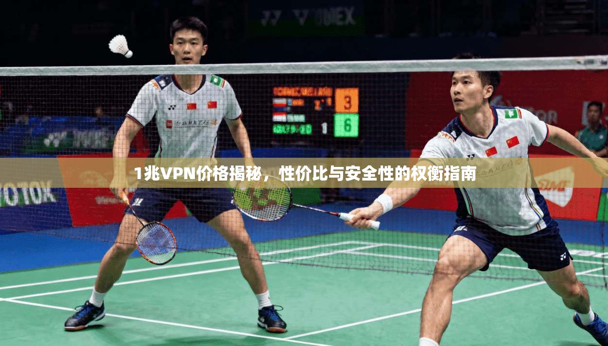 1兆VPN价格揭秘，性价比与安全性的权衡指南