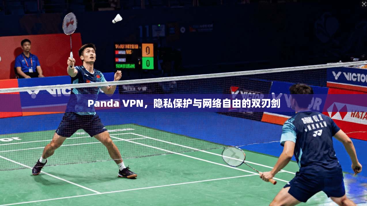 Panda VPN，隐私保护与网络自由的双刃剑