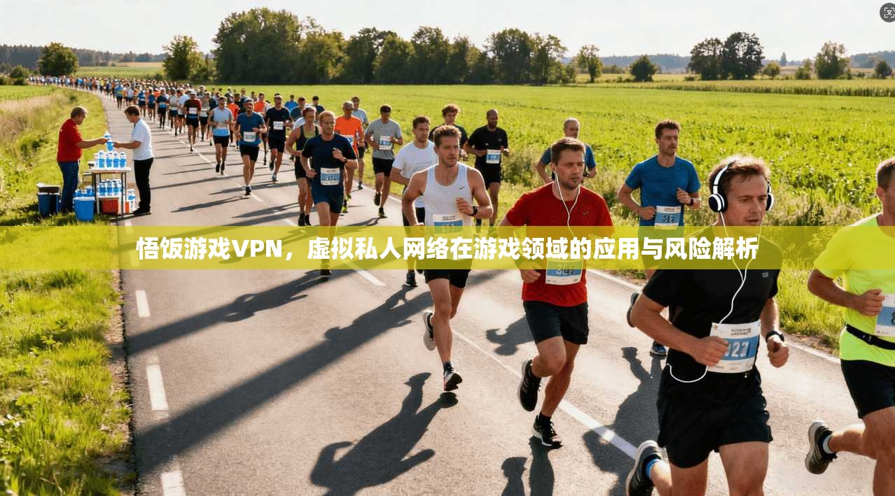 悟饭游戏VPN，虚拟私人网络在游戏领域的应用与风险解析