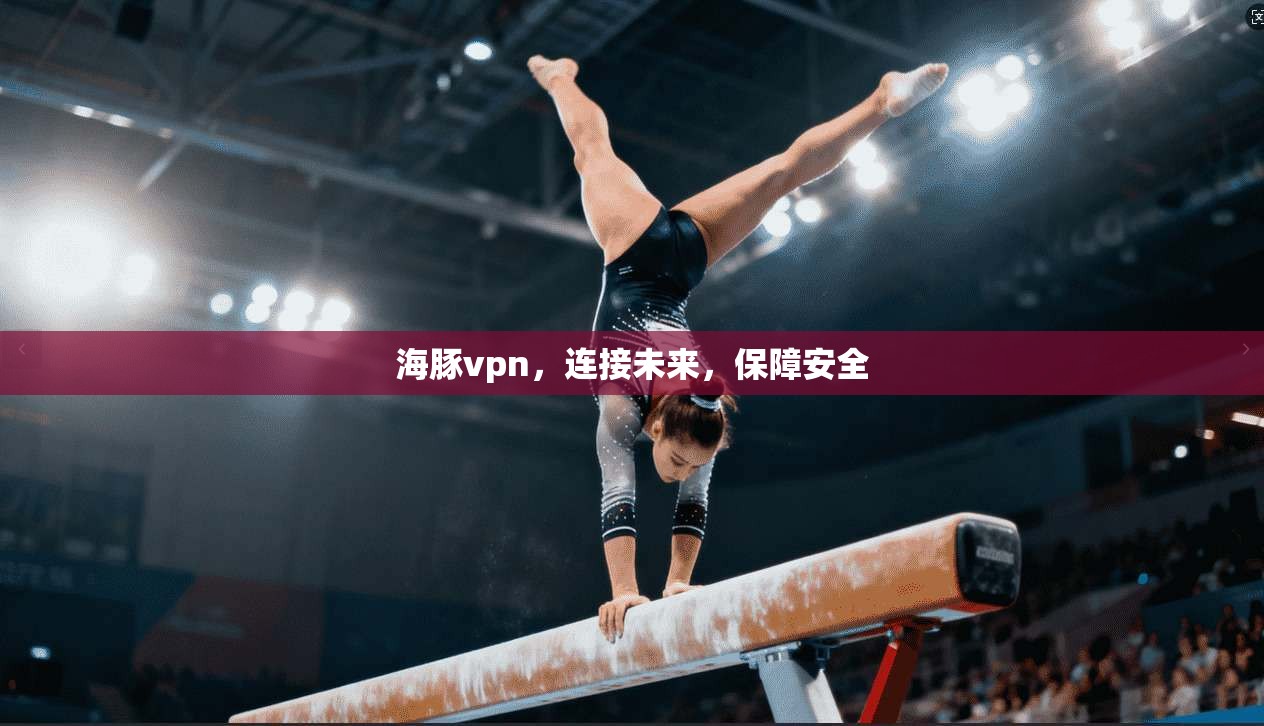 海豚vpn，连接未来，保障安全