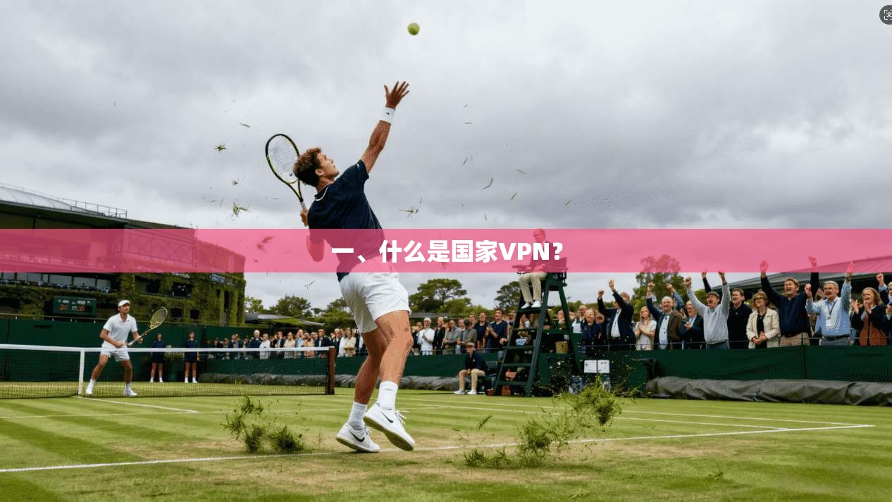 一、什么是国家VPN？  第1张