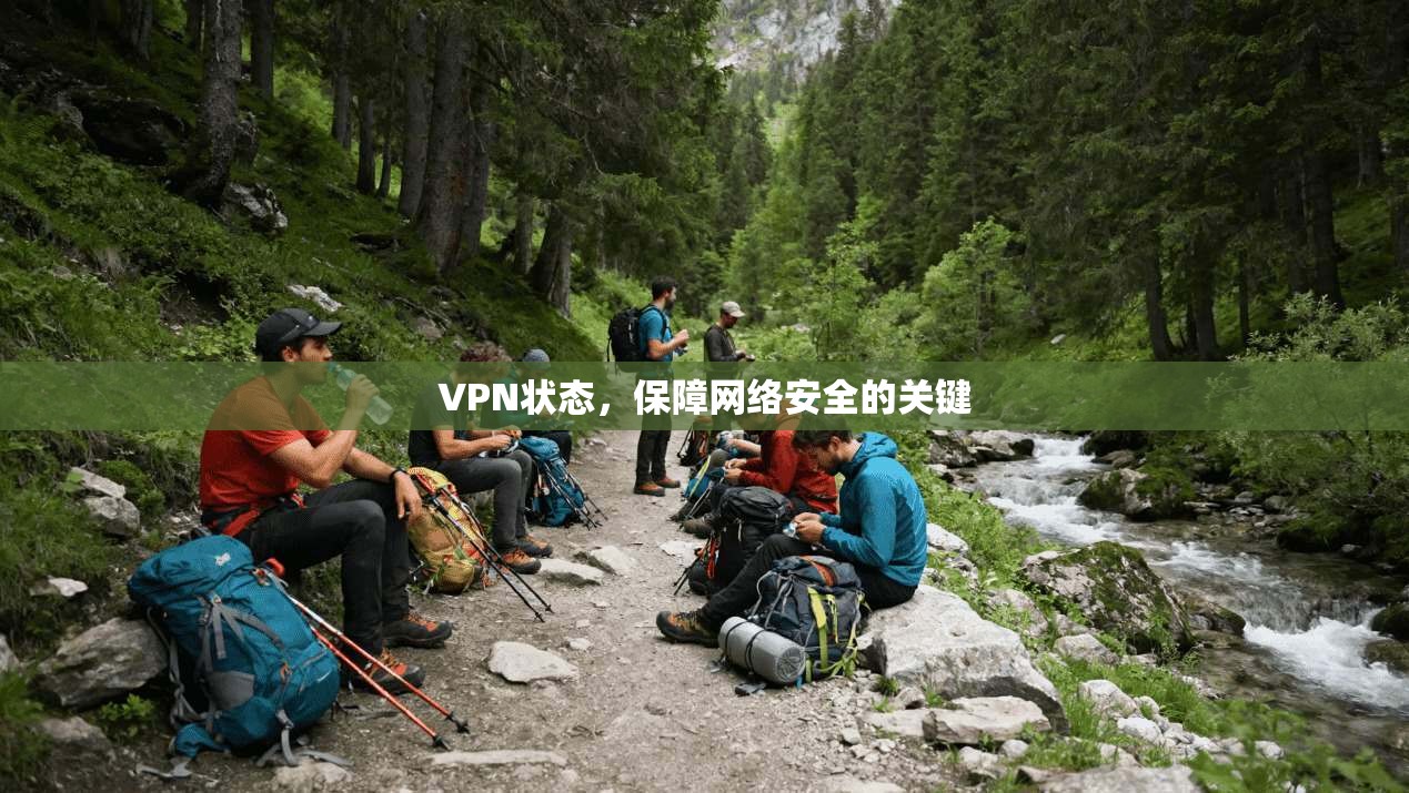 VPN状态，保障网络安全的关键  第1张