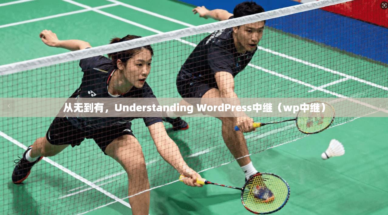 从无到有，Understanding WordPress中继（wp中继）