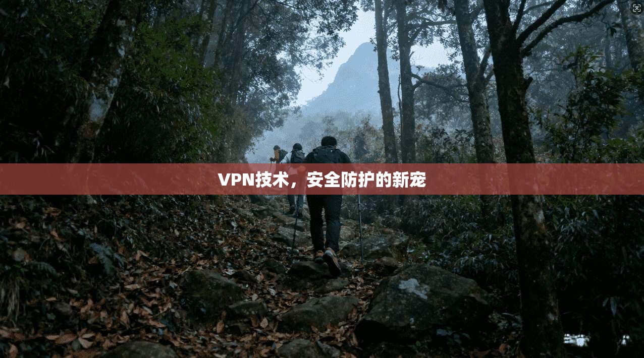 VPN技术，安全防护的新宠