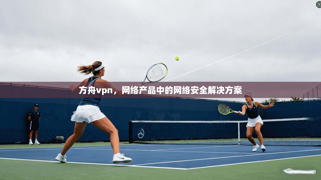 方舟vpn，网络产品中的网络安全解决方案
