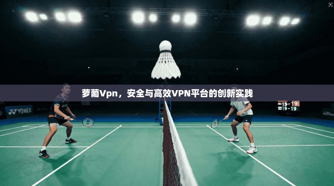 萝葡Vpn，安全与高效VPN平台的创新实践