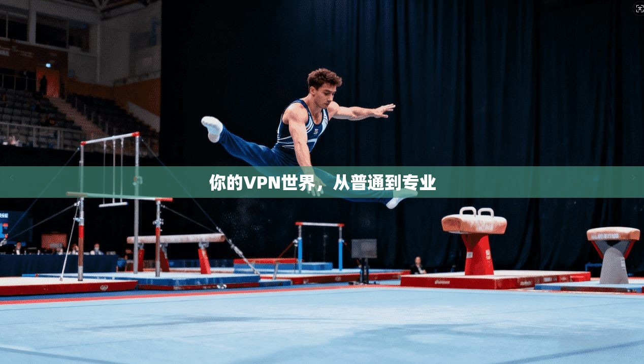 你的VPN世界，从普通到专业
