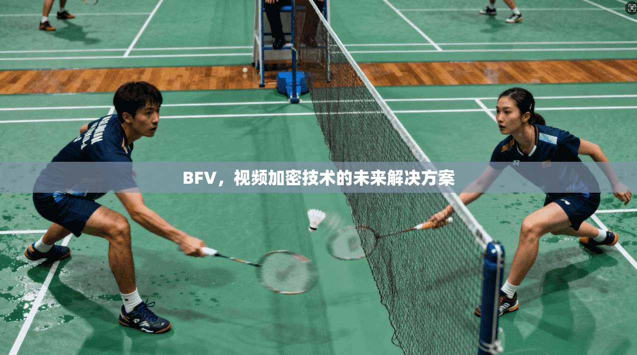 BFV，视频加密技术的未来解决方案