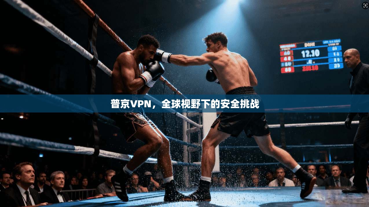 普京VPN，全球视野下的安全挑战