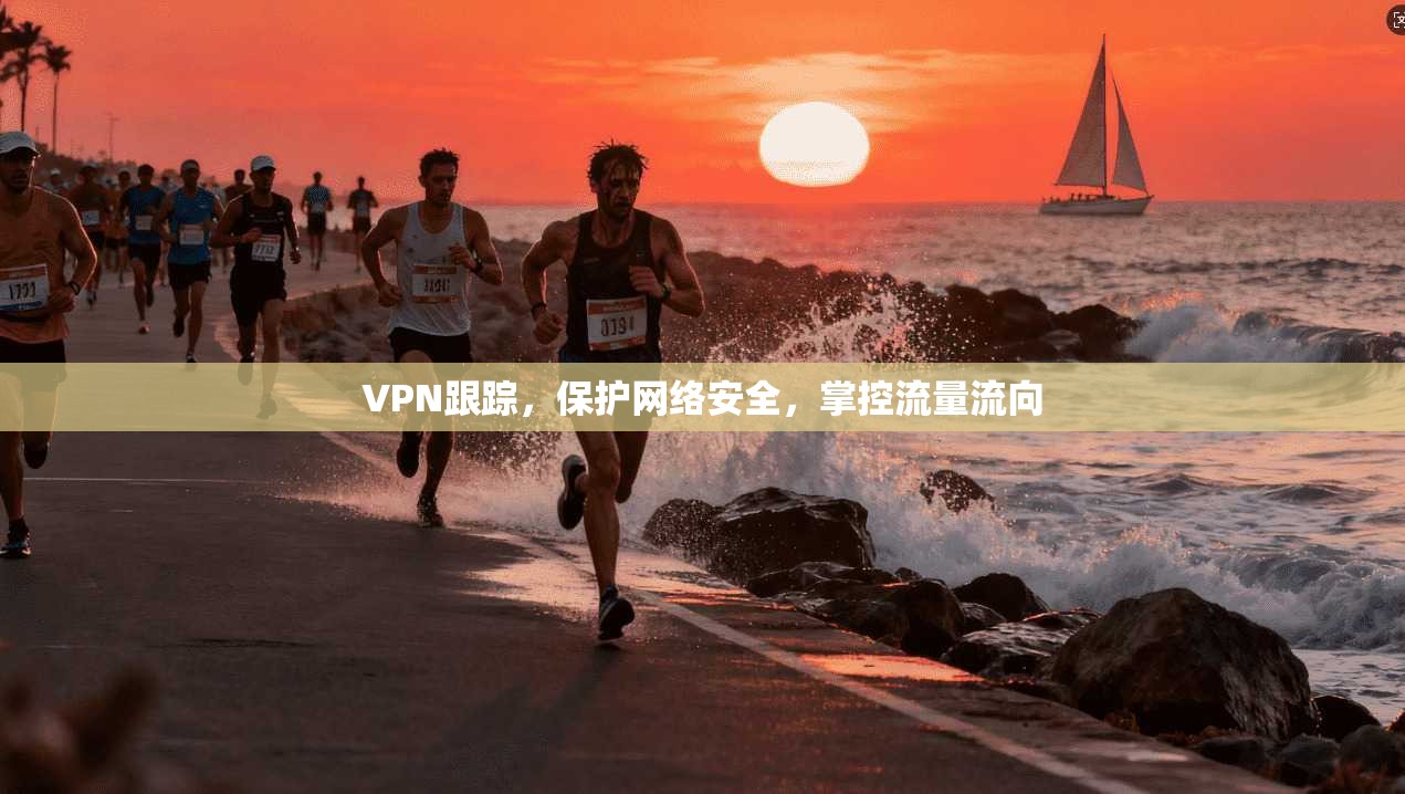VPN跟踪,保护网络安全,掌控流量流向