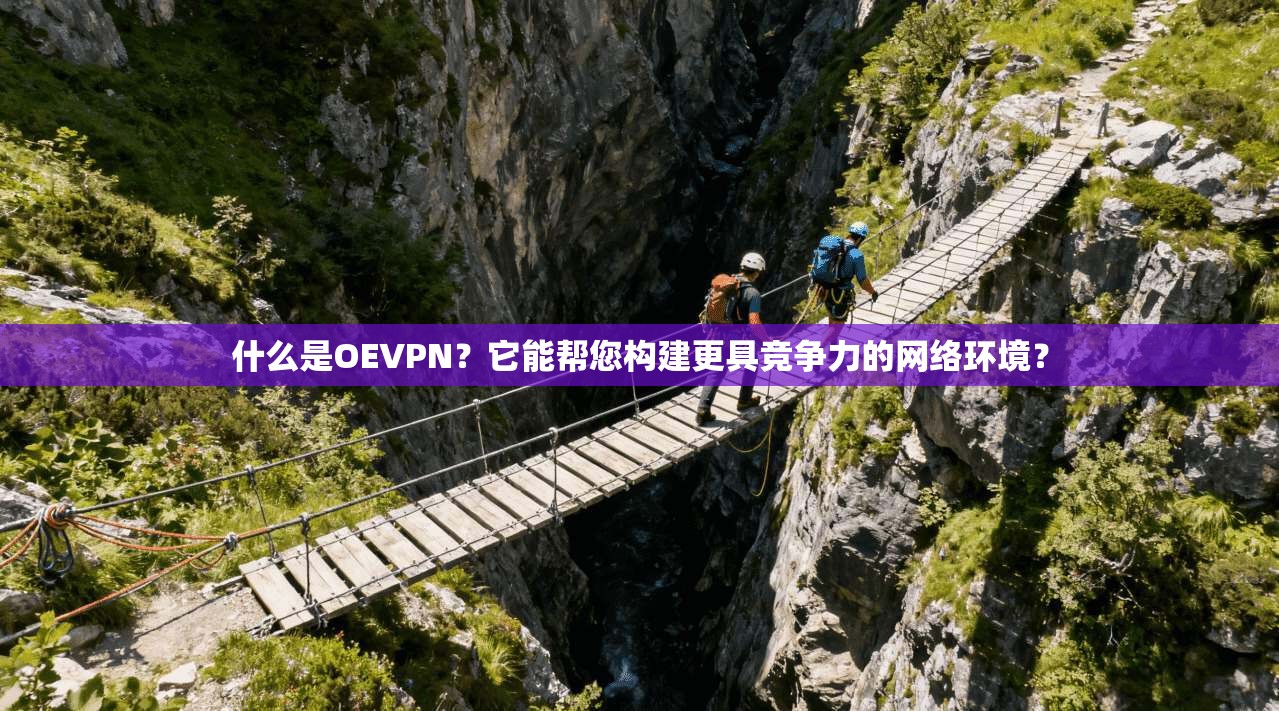 什么是OEVPN？它能帮您构建更具竞争力的网络环境？