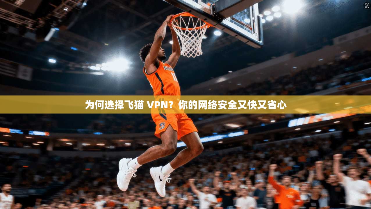 为何选择飞猫 VPN？你的网络安全又快又省心