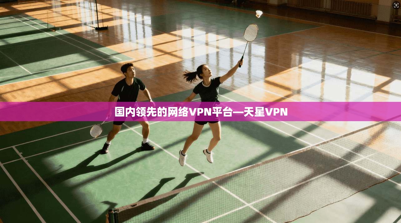 国内领先的网络VPN平台—天星VPN