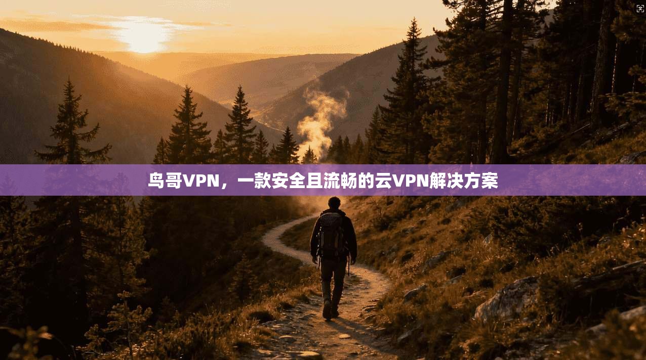 鸟哥VPN,一款安全且流畅的云VPN解决方案 第1张 鸟哥VPN,一款安全且流畅的云VPN解决方案 第1张