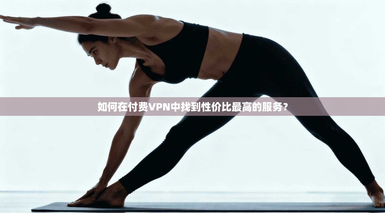 如何在付费VPN中找到性价比最高的服务？  第1张