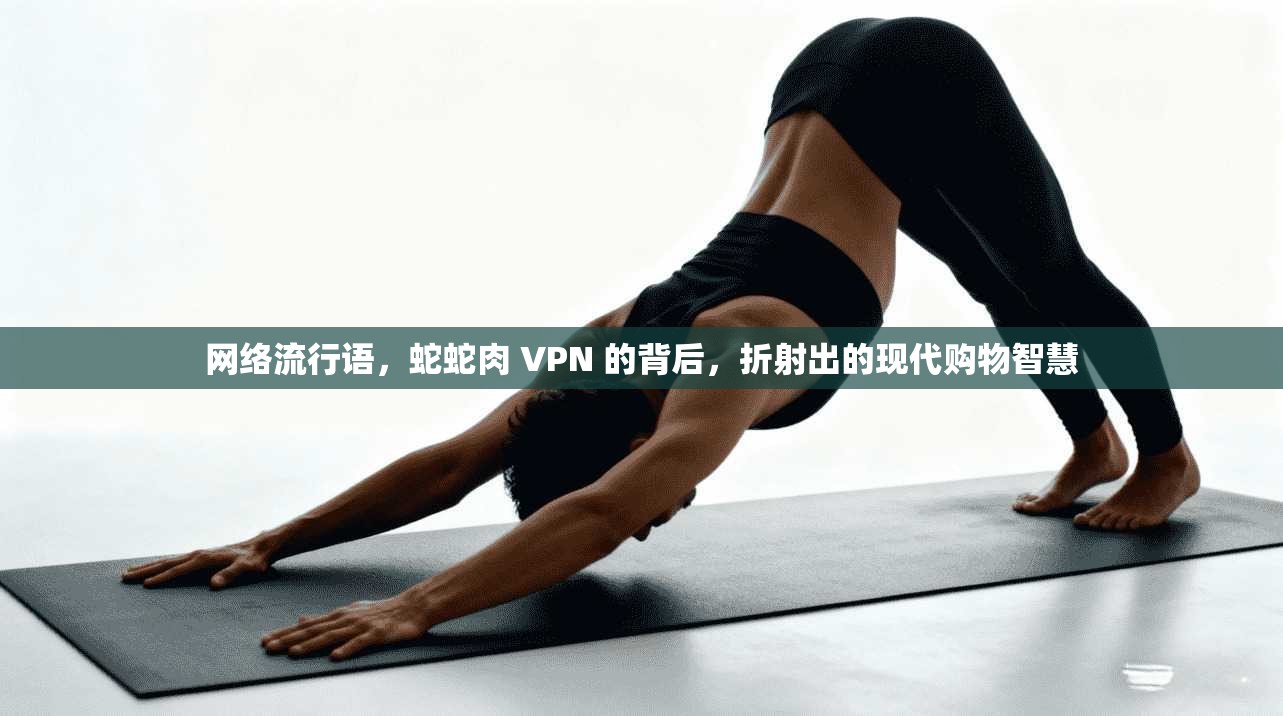 网络流行语，蛇蛇肉 VPN 的背后，折射出的现代购物智慧