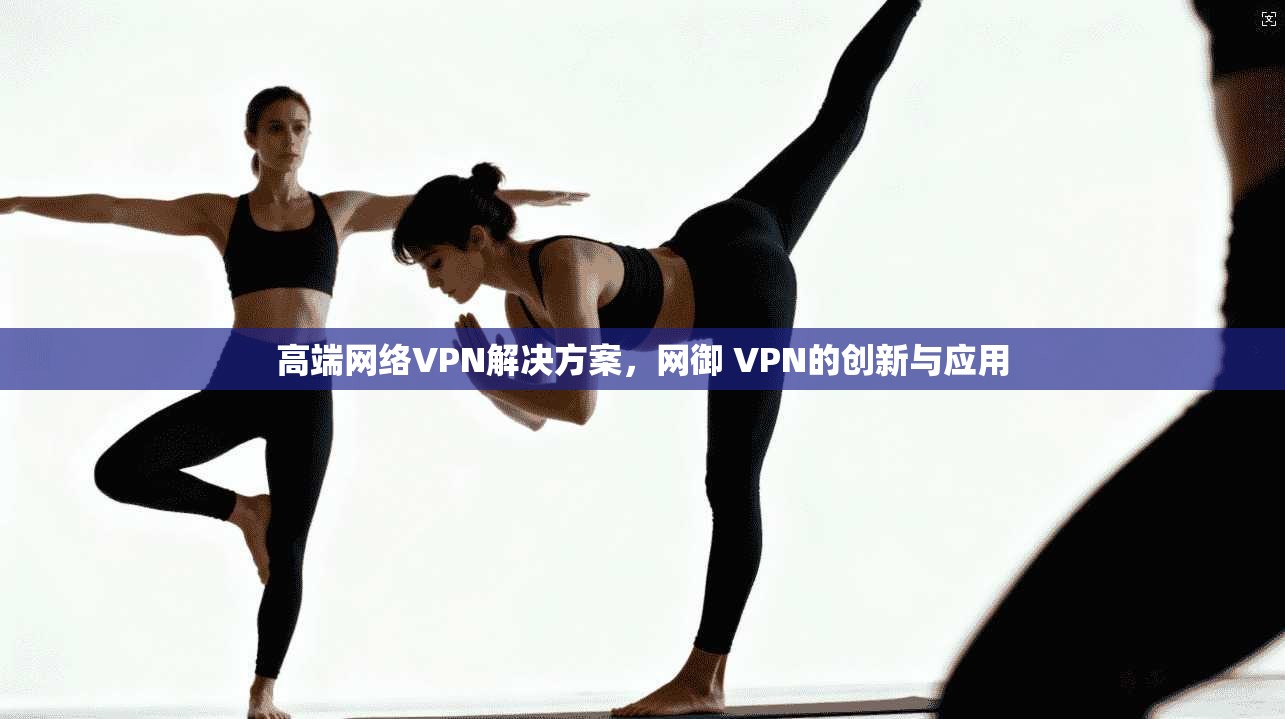 高端网络VPN解决方案，网御 VPN的创新与应用  第1张