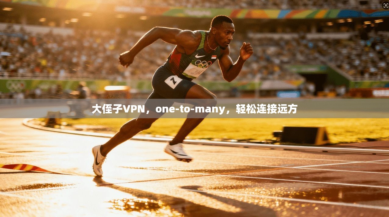 大侄子VPN,one-to-many,轻松连接远方 第1张 大侄子VPN,one-to-many,轻松连接远方 第1张