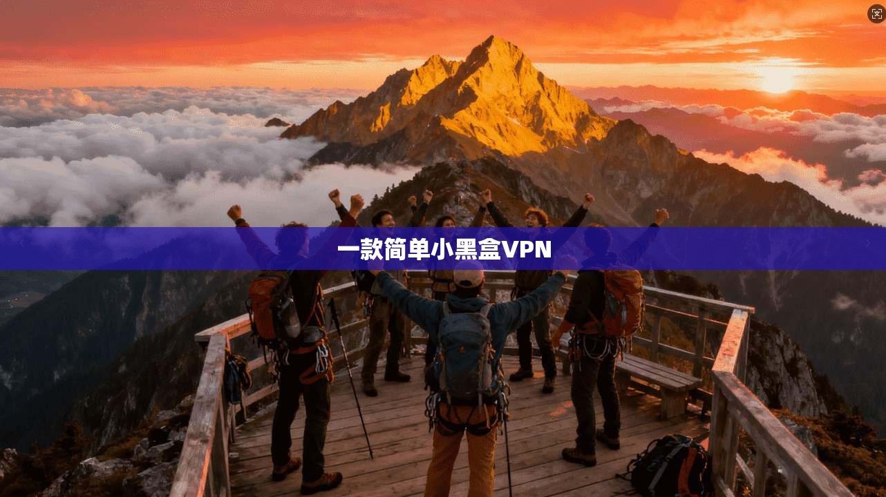 一款简单小黑盒VPN  第1张