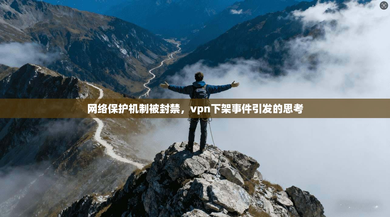 网络保护机制被封禁，vpn下架事件引发的思考