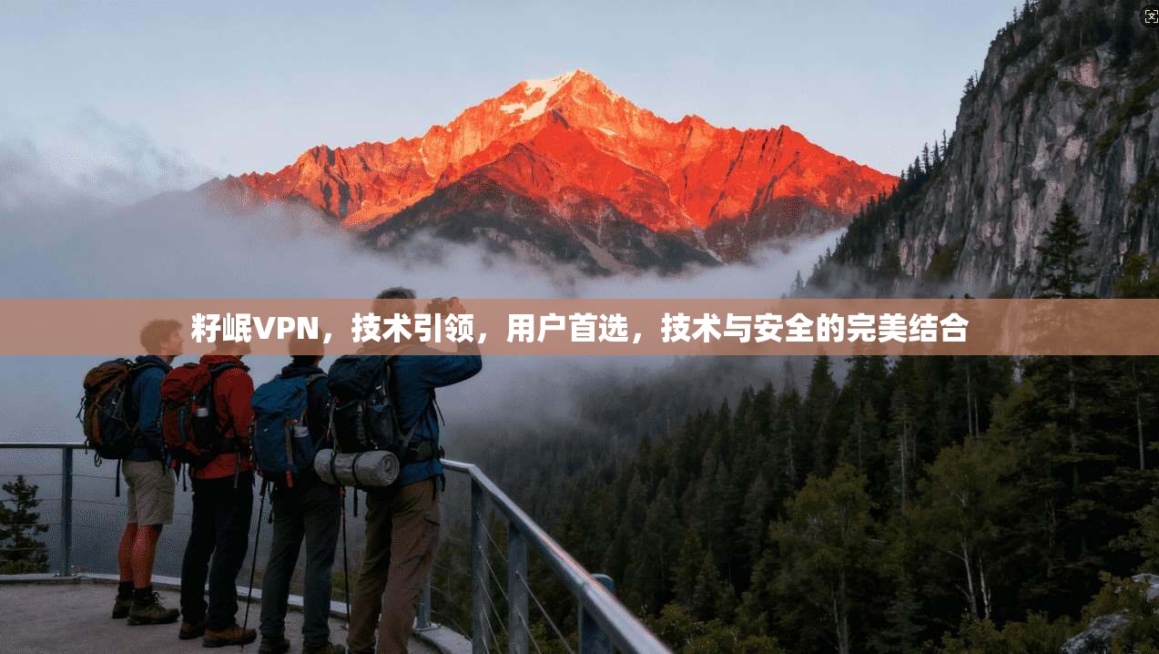 籽岷VPN,技术引领,用户首选,技术与安全的完美结合 第1张 籽岷VPN,技术引领,用户首选,技术与安全的完美结合 第1张