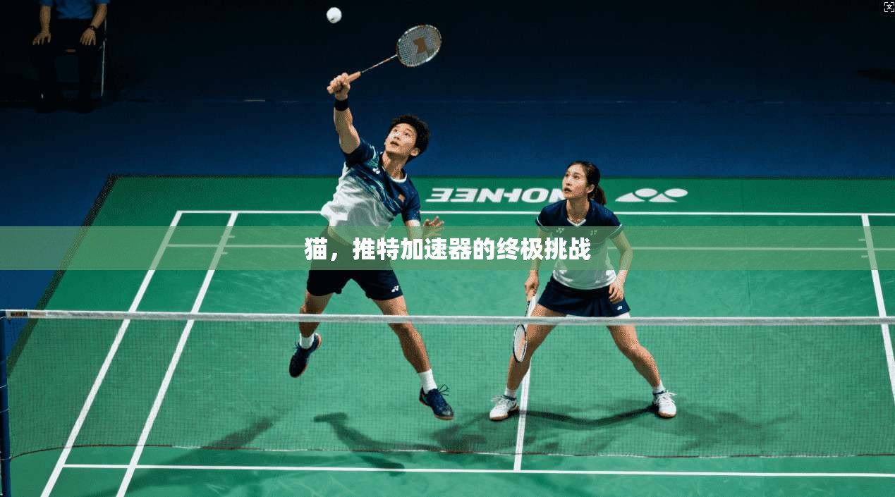 猫,推特加速器的终极挑战