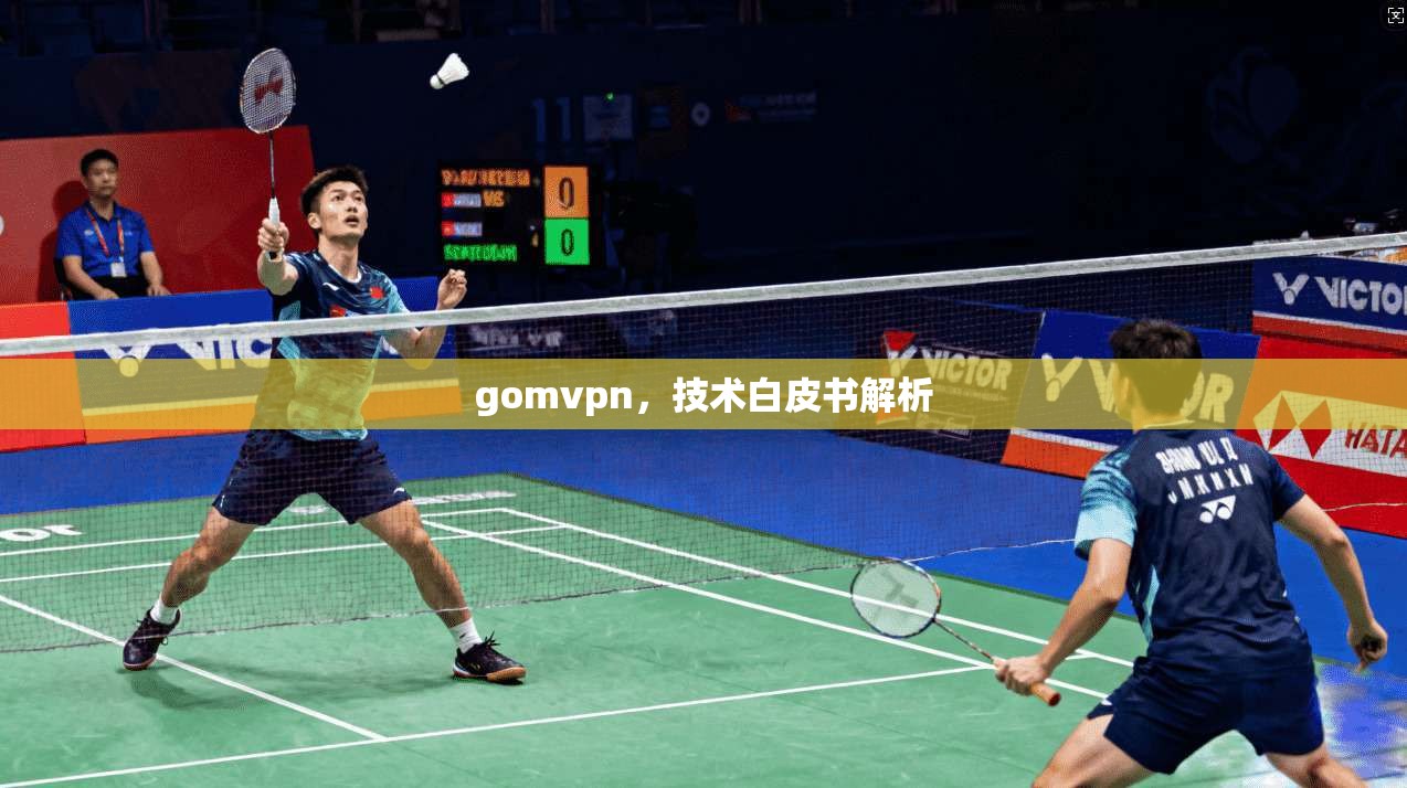 gomvpn,技术白皮书解析