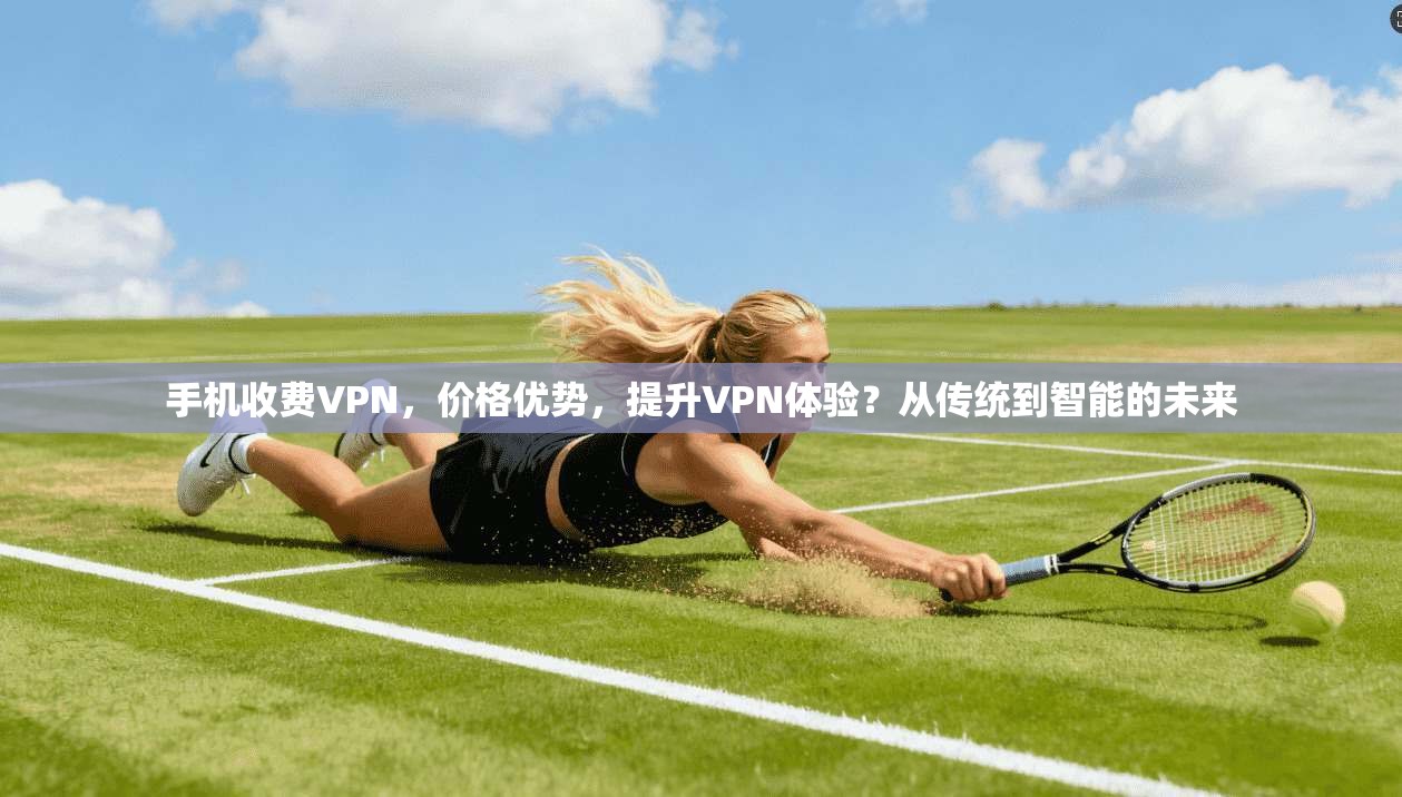 手机收费VPN,价格优势,提升VPN体验?从传统到智能的未来