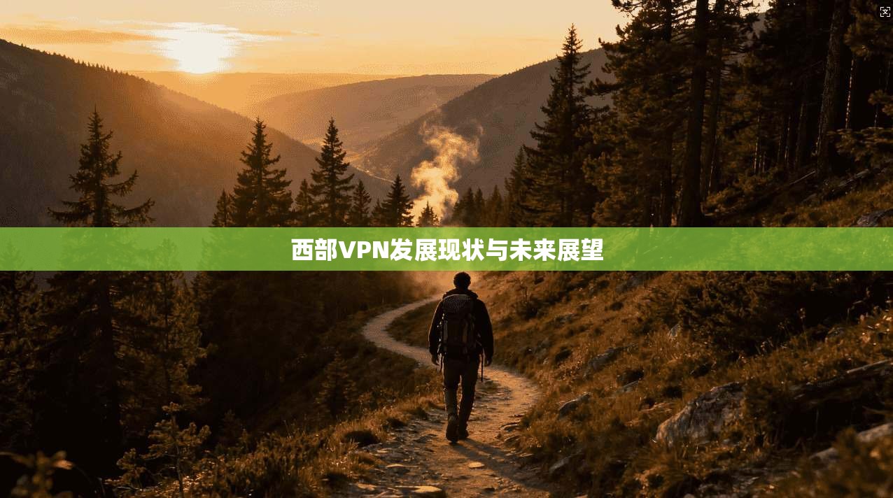 西部VPN发展现状与未来展望