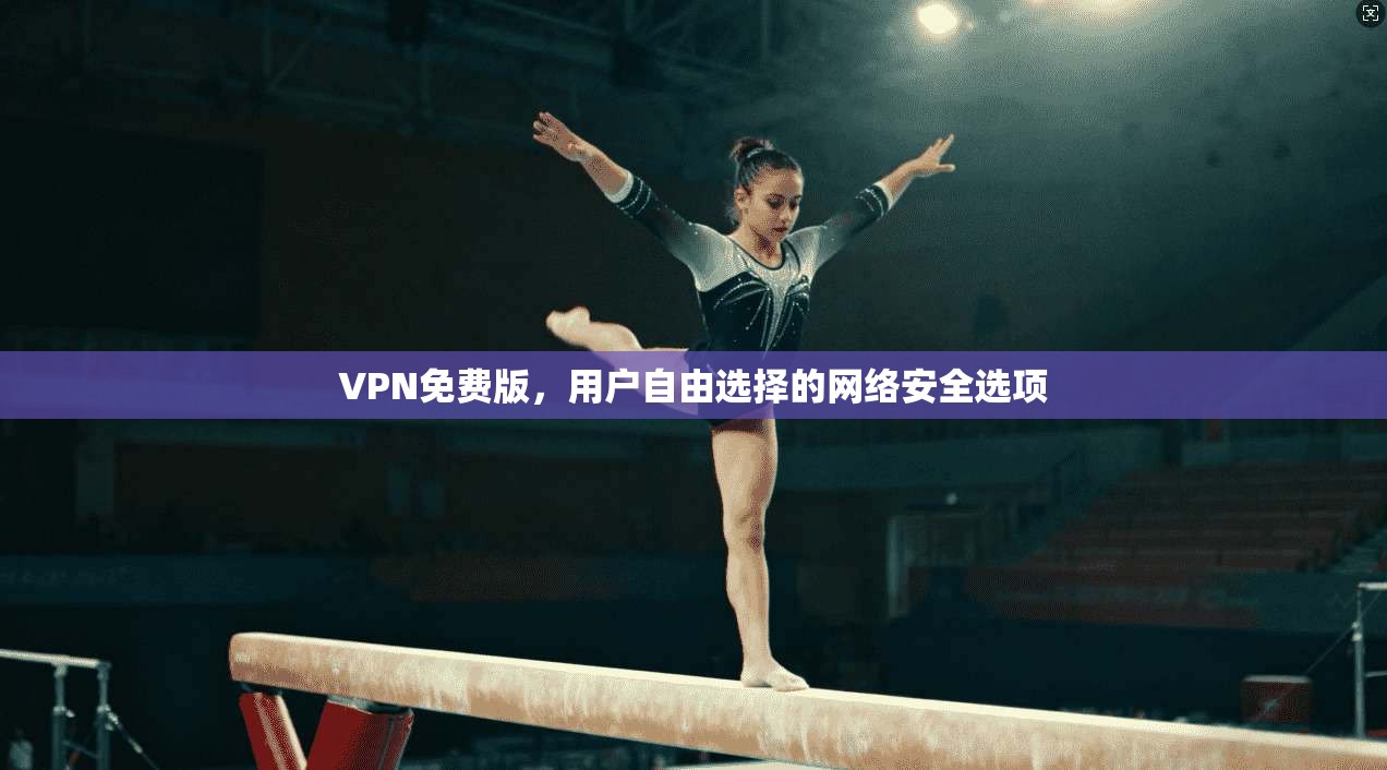 VPN免费版,用户自由选择的网络安全选项