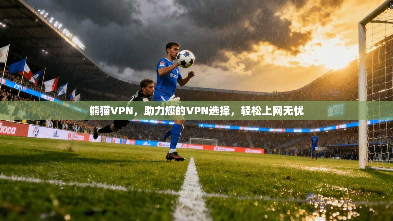 熊猫VPN，助力您的VPN选择，轻松上网无忧  第1张