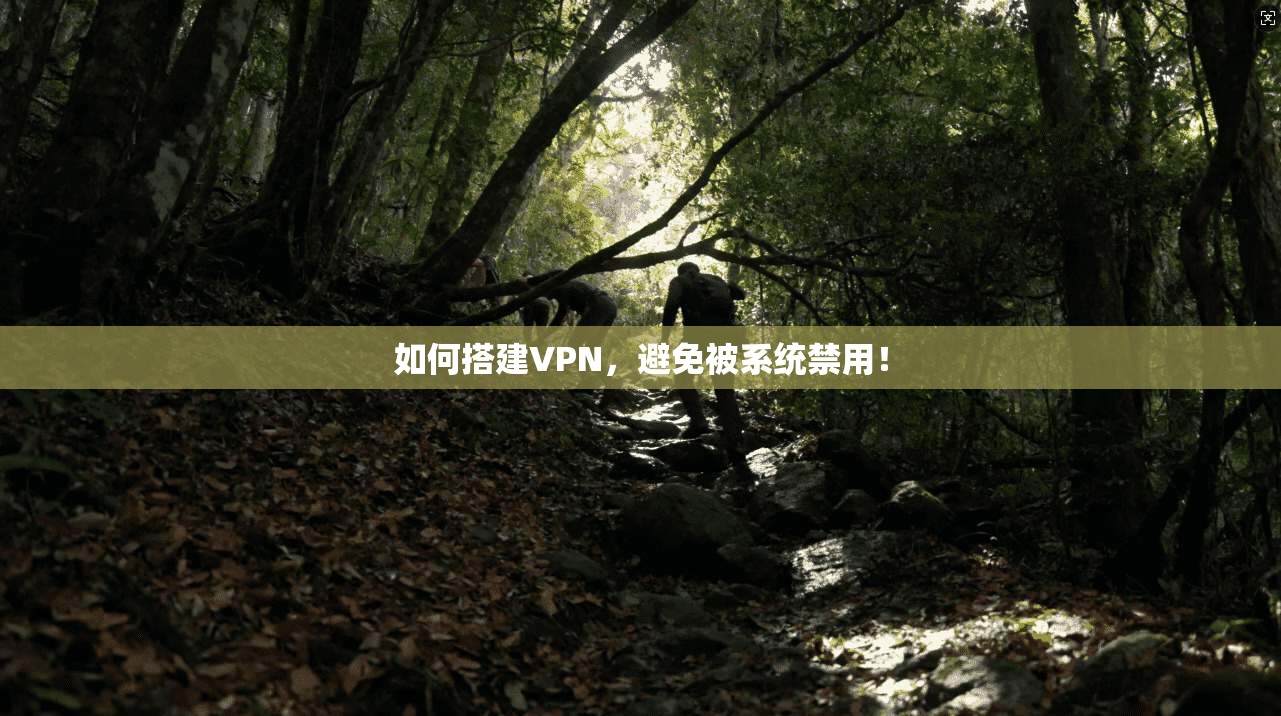 如何搭建VPN，避免被系统禁用！